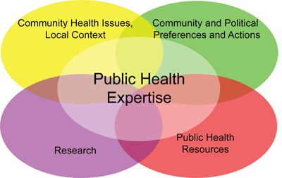 A model for evidence-informed decision making in public health